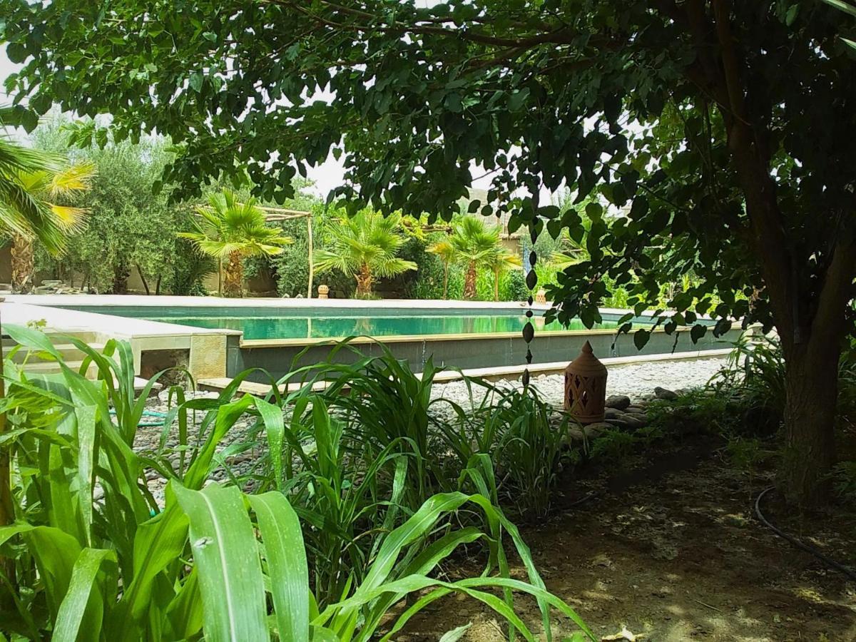 Riad Aman 斯库拉 外观 照片